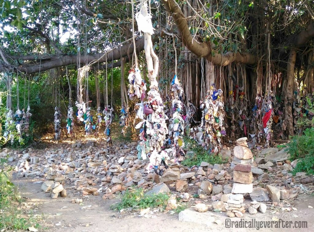 Offering Tree, Hampi Karnataka Zenfone Asus